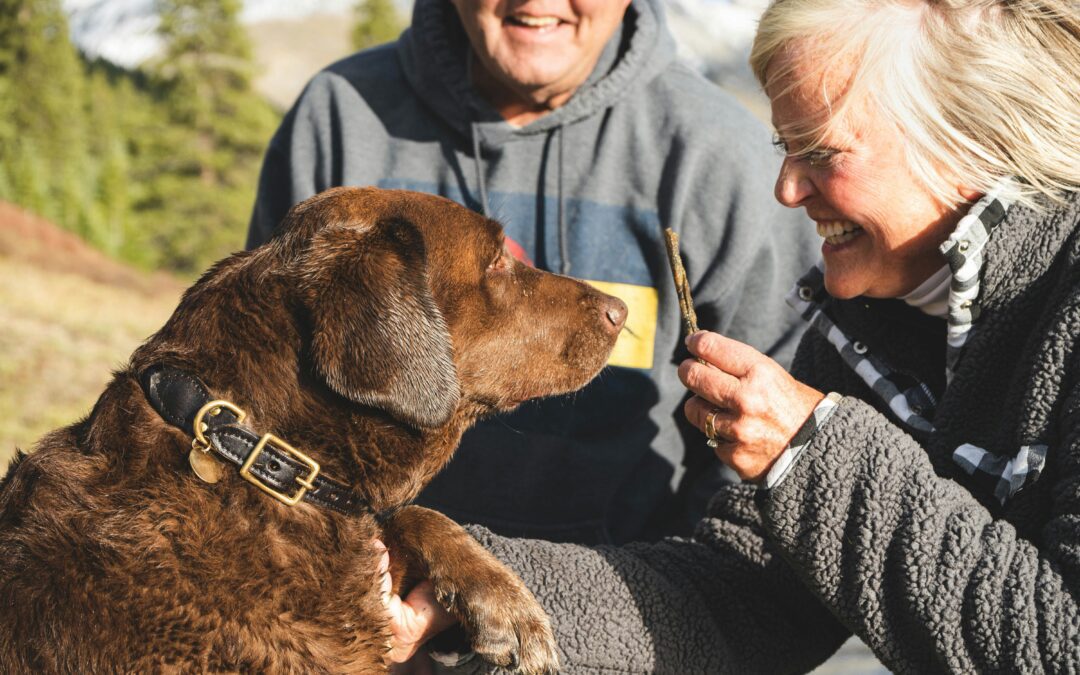 EL ABANDONO ANIMAL NO DEBE SER UNA OPCIÓN NUNCA